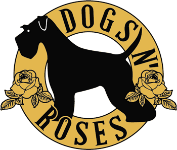 Logo de Dogs and Roses Oviedo