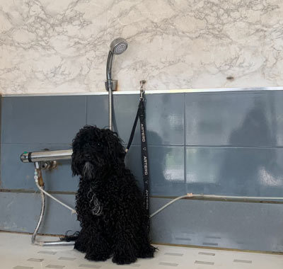 Baño